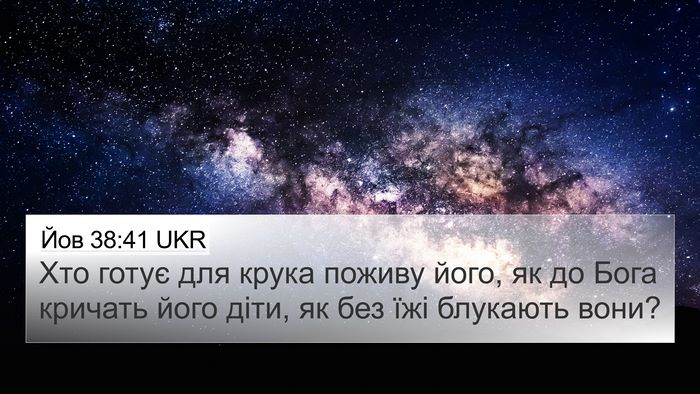 Йов 38:41 UKR Bible Verse Image