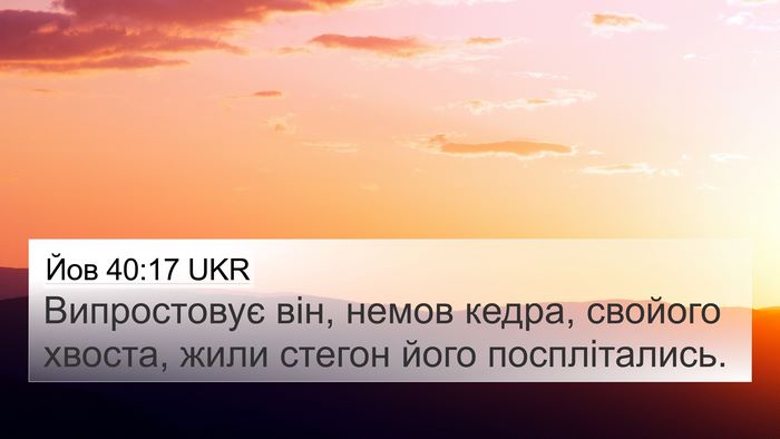 Йов 40:17 UKR 4K Wallpaper - Випростовує він, немов - 4K Wallpaper Bible Verse