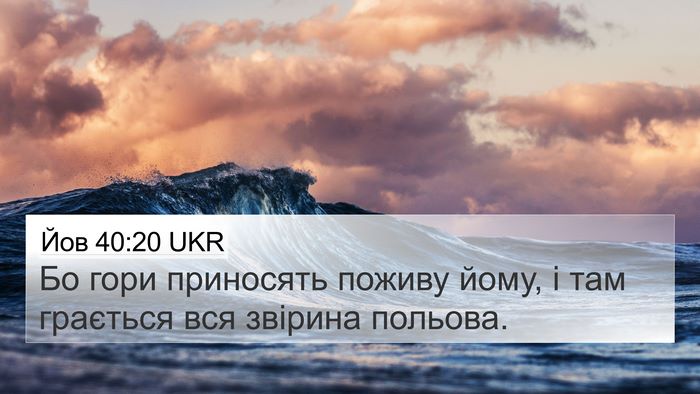 Йов 40:20 UKR Bible Verse Image