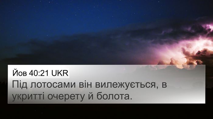 Йов 40:21 UKR 4K Wallpaper - Під лотосами він - 4K Wallpaper Bible Verse