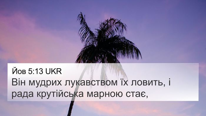 Йов 5:13 UKR Bible Verse Image