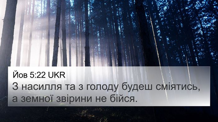 Йов 5:22 UKR Bible Verse Image