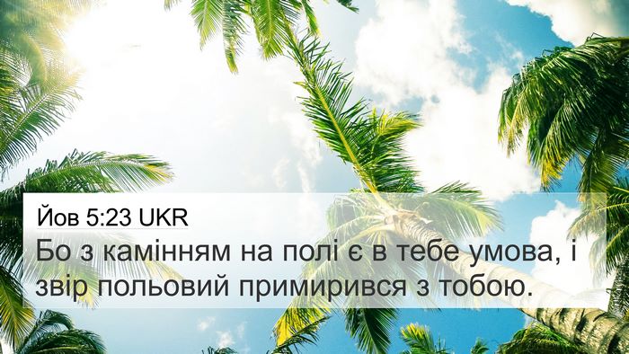 Йов 5:23 UKR 4K Wallpaper - Бо з камінням на полі є в - 4K Wallpaper Bible Verse