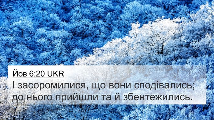 Йов 6:20 UKR 4K Wallpaper - І засоромилися, що вони - 4K Wallpaper Bible Verse