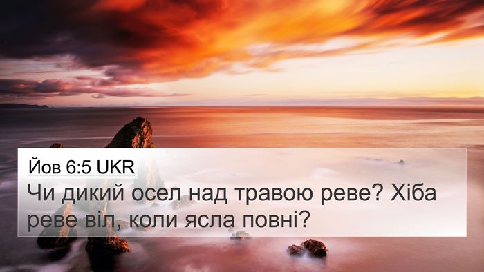 Йов 6:5 UKR Bible Verse Image