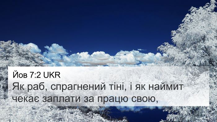 Йов 7:2 UKR 4K Wallpaper - Як раб, спрагнений тіні, і - 4K Wallpaper Bible Verse