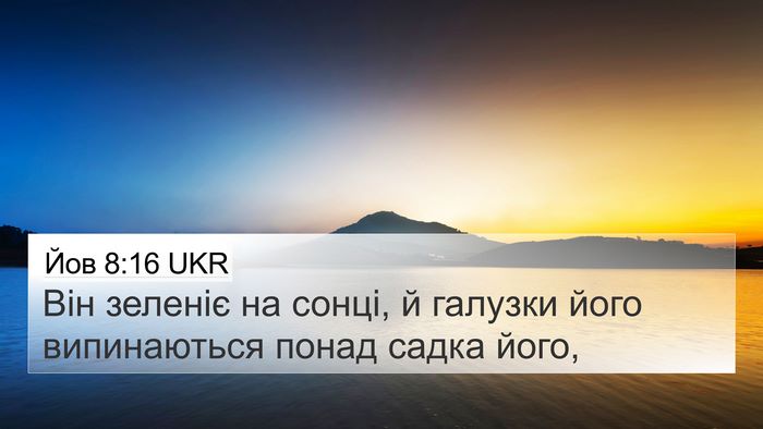 Йов 8:16 UKR 4K Wallpaper - Він зеленіє на сонці, й - 4K Wallpaper Bible Verse