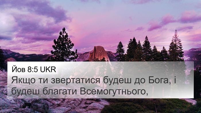 Йов 8:5 UKR Bible Verse Image