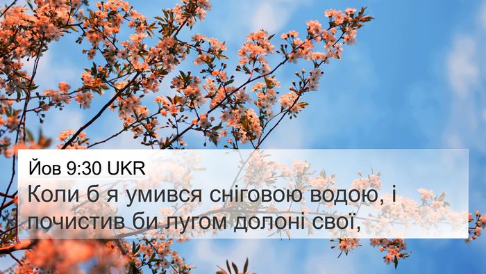 Йов 9:30 UKR Bible Verse Image