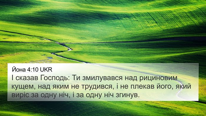Йона 4:10 UKR Bible Verse Image
