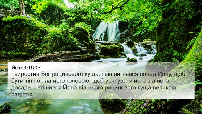 Йона 4:6 UKR Bible Verse Image