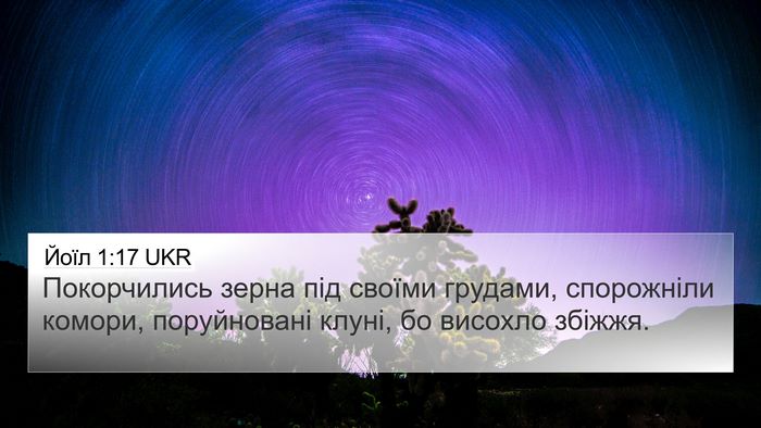 Йоїл 1:17 UKR Bible Verse Image