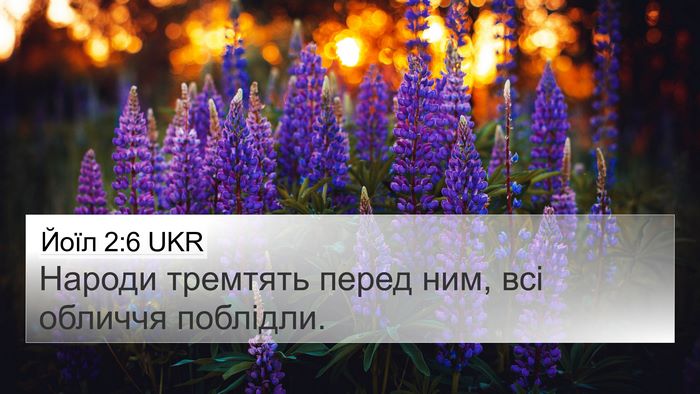Йоїл 2:6 UKR 4K Wallpaper - Народи тремтять перед ним, - 4K Wallpaper Bible Verse