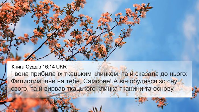Книга Суддів 16:14 UKR Bible Verse Image