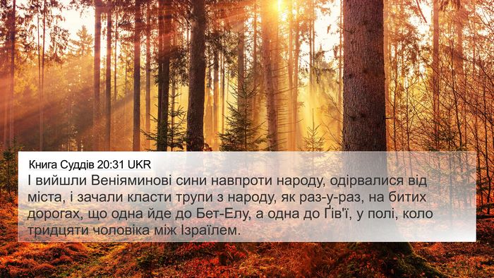 Книга Суддів 20:31 UKR Bible Verse Image