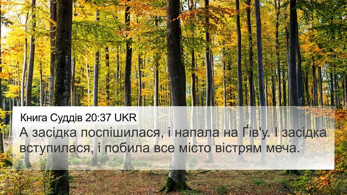 Книга Суддів 20:37 UKR 4K Wallpaper - А засідка поспішилася, і - 4K Wallpaper Bible Verse