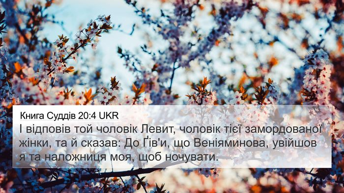 Книга Суддів 20:4 UKR Bible Verse Image