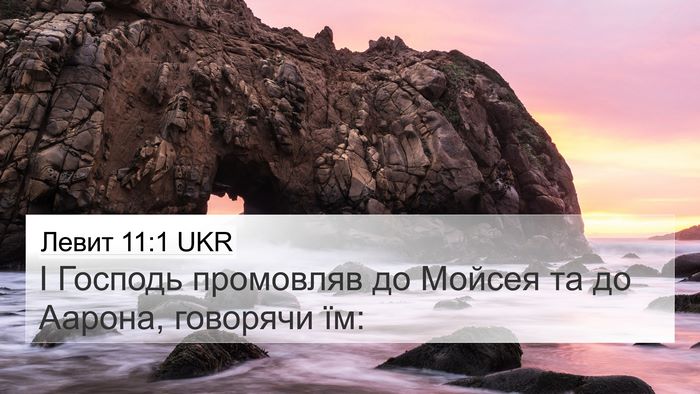 Левит 11:1 UKR Bible Verse Image