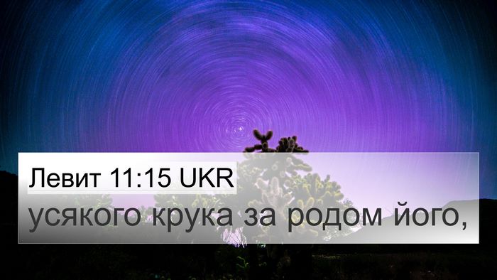 Левит 11:15 UKR 4K Wallpaper - усякого крука за родом - 4K Wallpaper Bible Verse