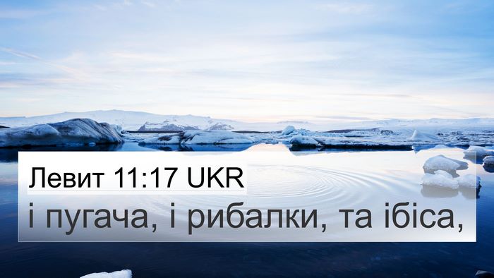 Левит 11:17 UKR 4K Wallpaper - і пугача, і рибалки, та - 4K Wallpaper Bible Verse