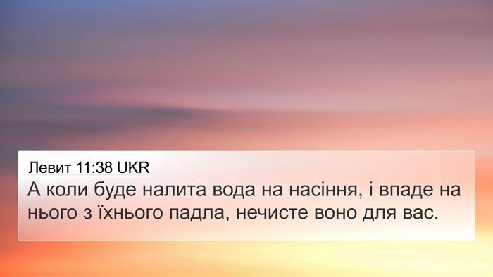 Левит 11:38 UKR 4K Wallpaper - А коли буде налита вода на - 4K Wallpaper Bible Verse