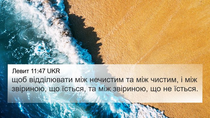 Левит 11:47 UKR 4K Wallpaper - щоб відділювати між - 4K Wallpaper Bible Verse