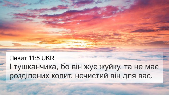 Левит 11:5 UKR Bible Verse Image