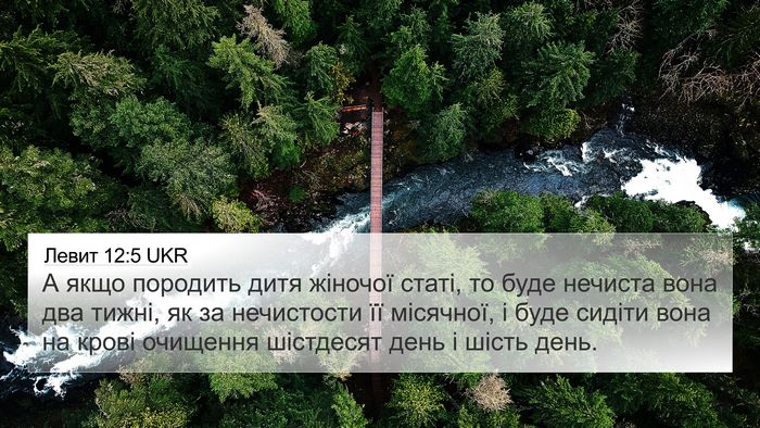 Левит 12:5 UKR 4K Wallpaper - А якщо породить дитя - 4K Wallpaper Bible Verse