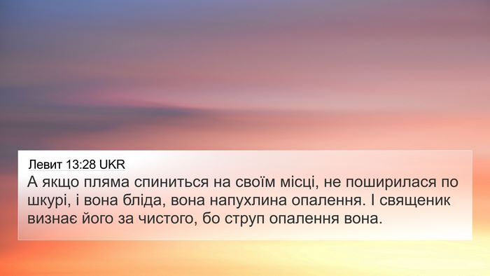 Левит 13:28 UKR 4K Wallpaper - А якщо пляма спиниться на - 4K Wallpaper Bible Verse