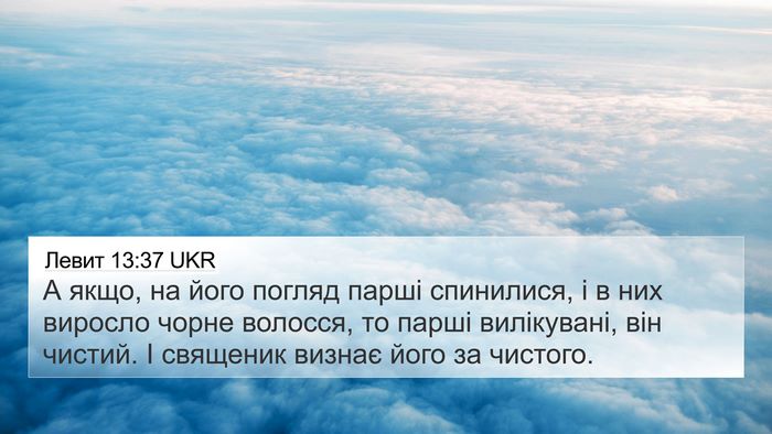 Левит 13:37 UKR 4K Wallpaper - А якщо, на його погляд - 4K Wallpaper Bible Verse