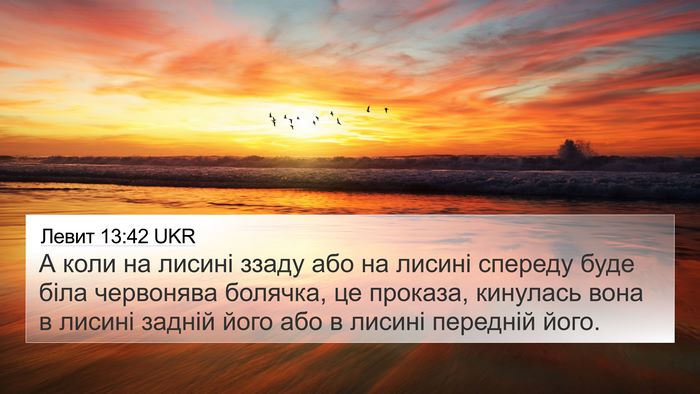 Левит 13:42 UKR Bible Verse Image