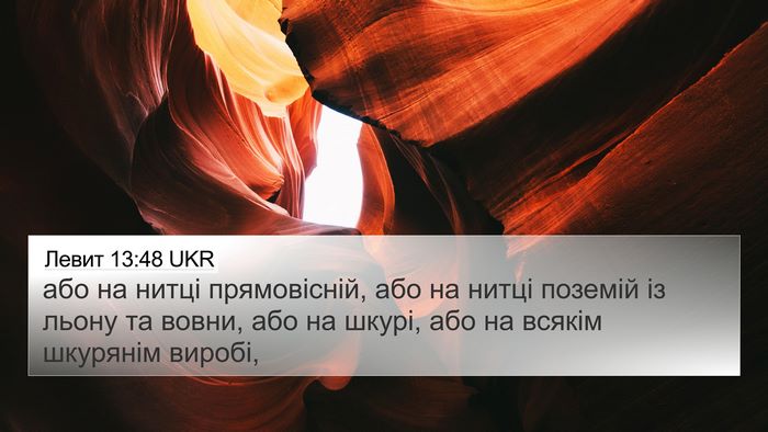 Левит 13:48 UKR 4K Wallpaper - або на нитці прямовісній, - 4K Wallpaper Bible Verse