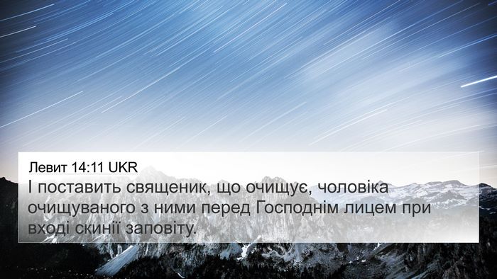 Левит 14:11 UKR 4K Wallpaper - І поставить священик, що - 4K Wallpaper Bible Verse