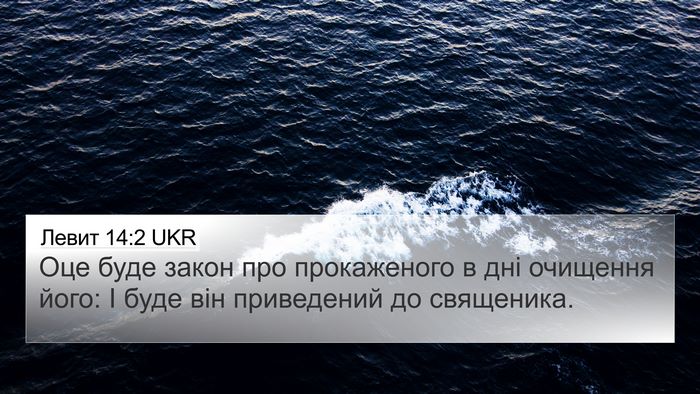 Левит 14:2 UKR Bible Verse Image