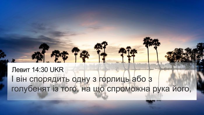 Левит 14:30 UKR Bible Verse Image