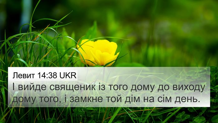 Левит 14:38 UKR 4K Wallpaper - І вийде священик із того - 4K Wallpaper Bible Verse