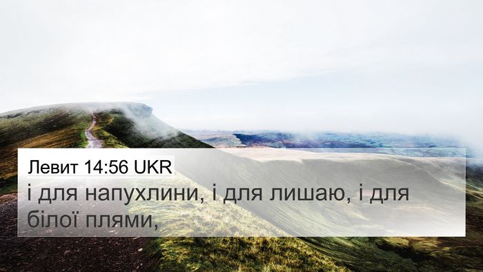 Левит 14:56 UKR 4K Wallpaper - і для напухлини, і для - 4K Wallpaper Bible Verse