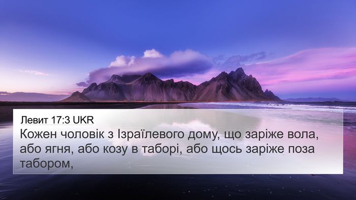 Левит 17:3 UKR 4K Wallpaper - Кожен чоловік з - 4K Wallpaper Bible Verse