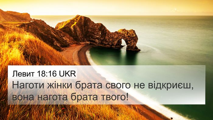Левит 18:16 UKR Bible Verse Image