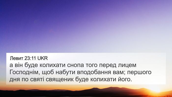 Левит 23:11 UKR 4K Wallpaper - а він буде колихати снопа - 4K Wallpaper Bible Verse