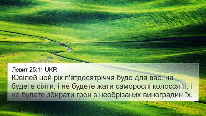 Левит 25:11 UKR 4K Wallpaper - Ювілей цей рік - 4K Wallpaper Bible Verse