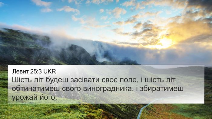 Левит 25:3 UKR Bible Verse Image