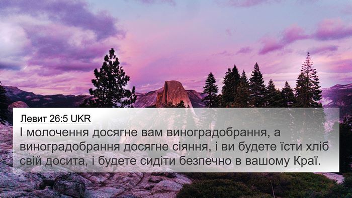 Левит 26:5 UKR Bible Verse Image