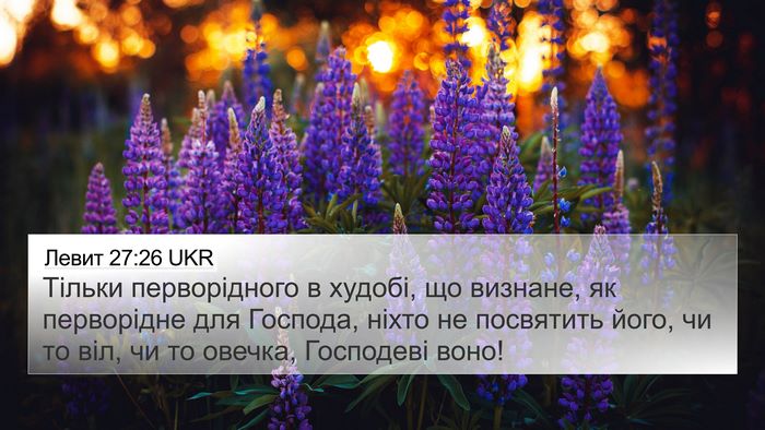 Левит 27:26 UKR Bible Verse Image