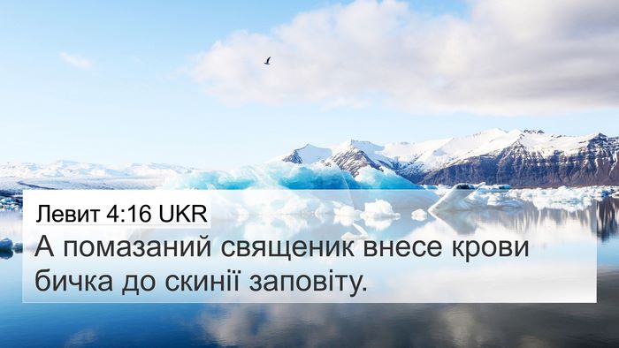 Левит 4:16 UKR Bible Verse Image