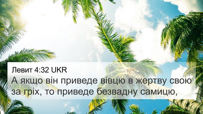 Левит 4:32 UKR 4K Wallpaper - А якщо він приведе вівцю в - 4K Wallpaper Bible Verse