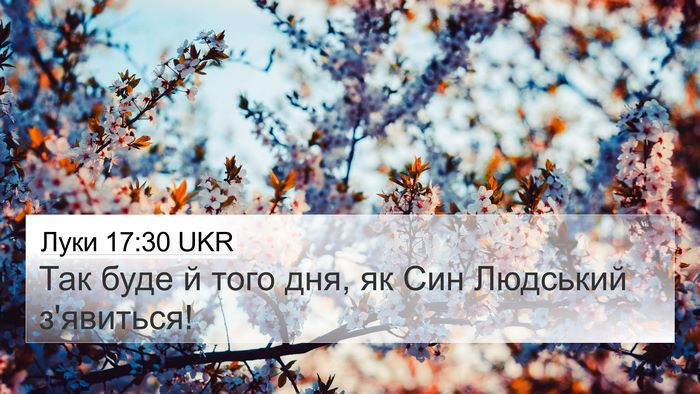 Луки 17:30 UKR Bible Verse Image