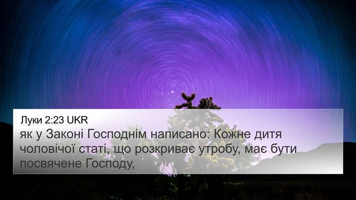 Луки 2:23 UKR Bible Verse Image