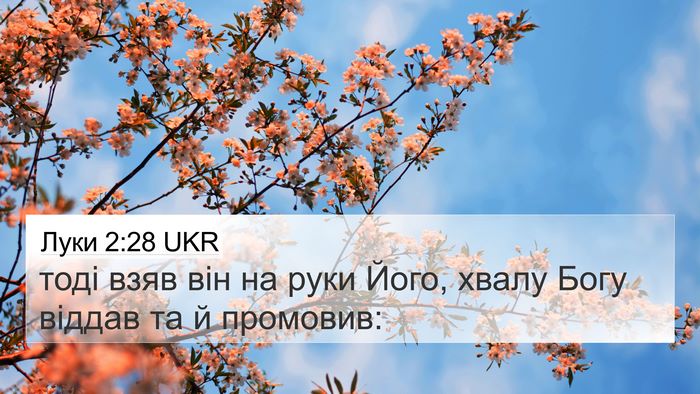 Луки 2:28 UKR Bible Verse Image