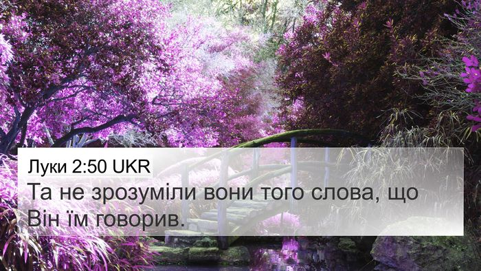 Луки 2:50 UKR Bible Verse Image